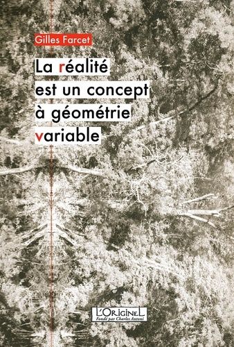 La Réalité Est Un Concept À Géométrie Variable