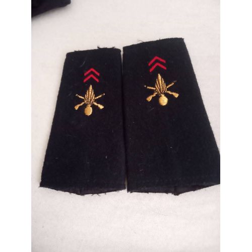 Paire Fourreau D'épaule Infanterie