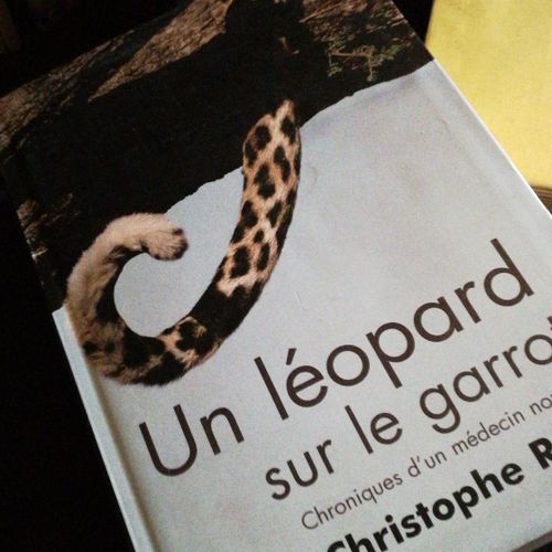 Un Léopard Sur Le Garrot - Chroniques D'un Médecin Nomade