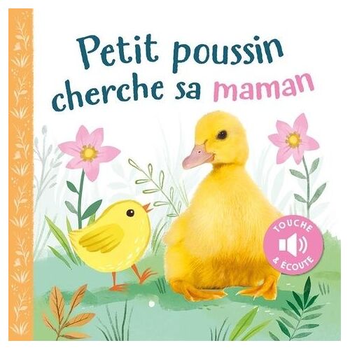 Petit Poussin Cherche Sa Maman