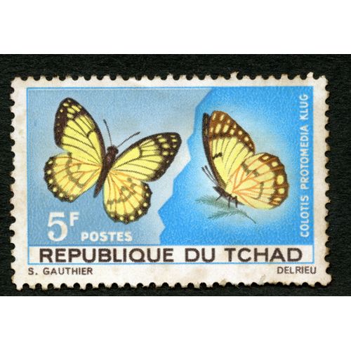 Timbre Non Oblitéré République Du Tchad, Colotis Protomedia Klug, 5 F, Postes