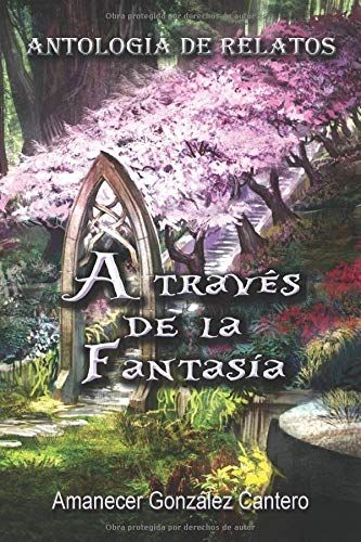 A Través De La Fantasía. Antología De Relatos.