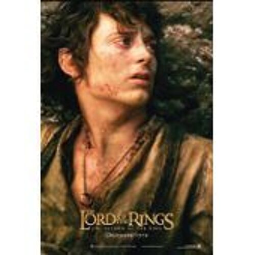 Le Seigneur Des Anneaux Le Retour Du Roi - The Lord Of The Rings The Return Of The King - Peter Jackson - Pré-Affiche De Cinéma Pliée 120x160 Cm