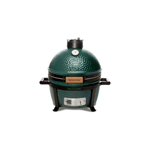 Barbecue/four big green egg minimax avec berceau