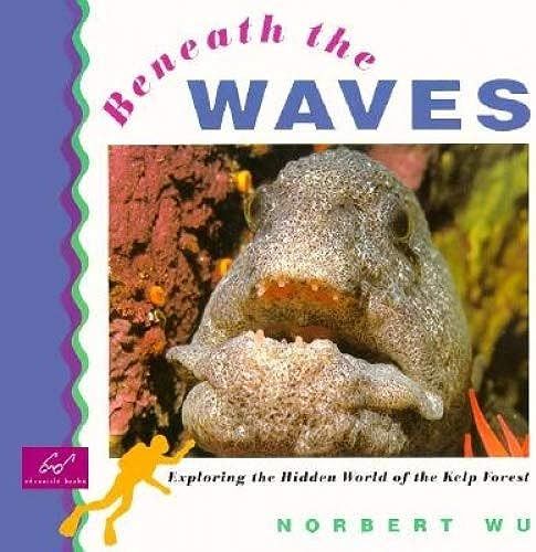 Beneath The Waves: Exploring The Hidden World Of The Kelp Forest