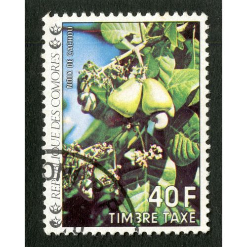 Timbre Oblitéré République Des Comores, Timbre Taxe, 40 F, Noix De Cachou
