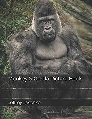 Monkey & Gorilla Picture Book