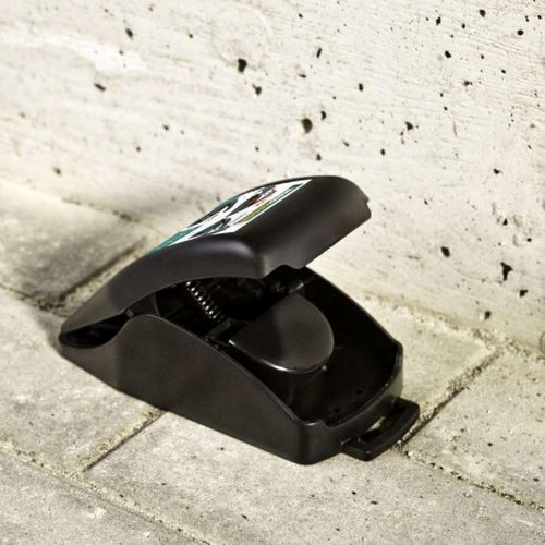 Tapette À Rat Automatique