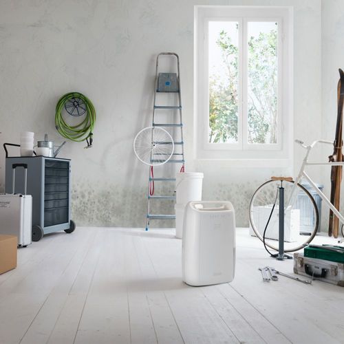 Deshumidificateur DELONGHI DEX210SF