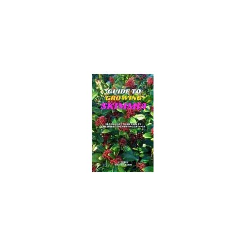 Guide To Growing Skimmia: Learn What To Do Well To Cultivate Enchanting Skimmia