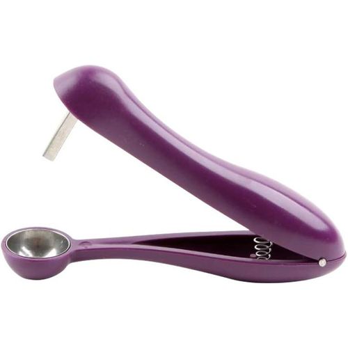 Denoyauteur Cerise Dénoyauteur Olives Cerise Pitter Noyaux Extracteur Raisins Cranberries Professionnel Denoyautage