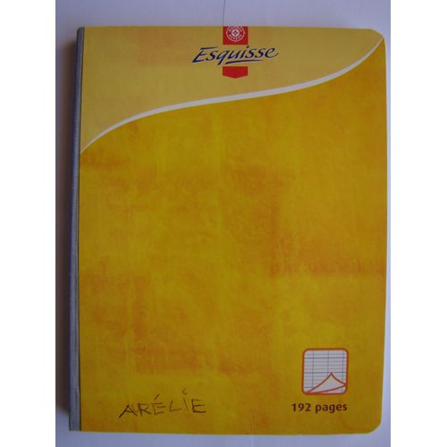 Cahier 192 Pages 17x22 Cm Grand Carreaux Borché