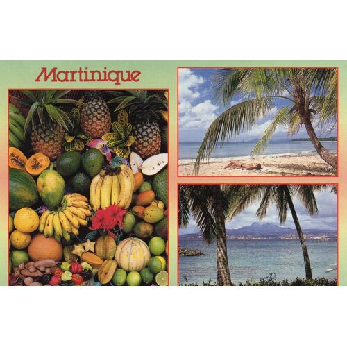 Carte Postale Couleur N° 49 - Martinique- Plaisirs Des Tropiques- Photo Philippe Poux