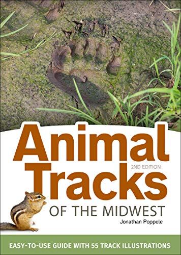 Animal Tracks Of The Midwest Field Guide