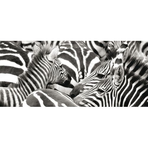 Zebras, Photo Murale Intissée, 202 X 90 Cm, 1 Part - Enfants