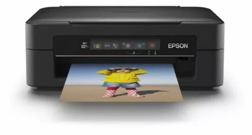 Imprimante Epson xp 215