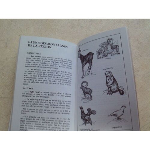 Excursions Faciles Et Moyennes. Guide Rj.