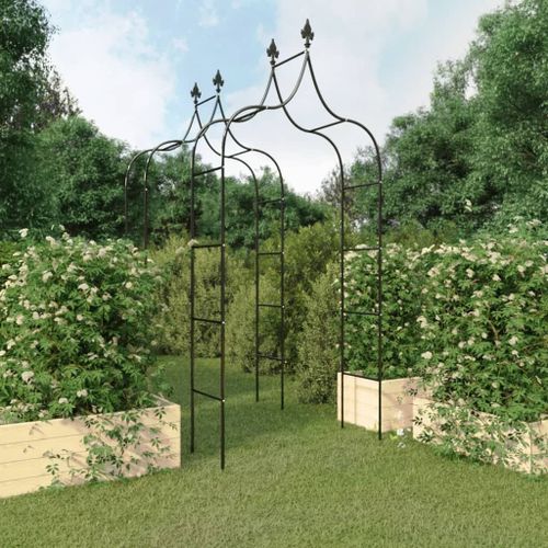 Arches De Jardin Avec Pinacles Gothiques & Revêtement Anti-Rouille 2 Pcs 120x38x260 Cm Acier