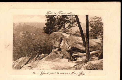 Carte Postale De La  Forêt De Fontainebleau  (Seine Et Marne)  Grand Point De Vue Du Mont-Aigu (Réf.60)