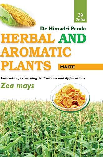 Herbal And Aromatic Plants - 39. Zea Mays (Maize)