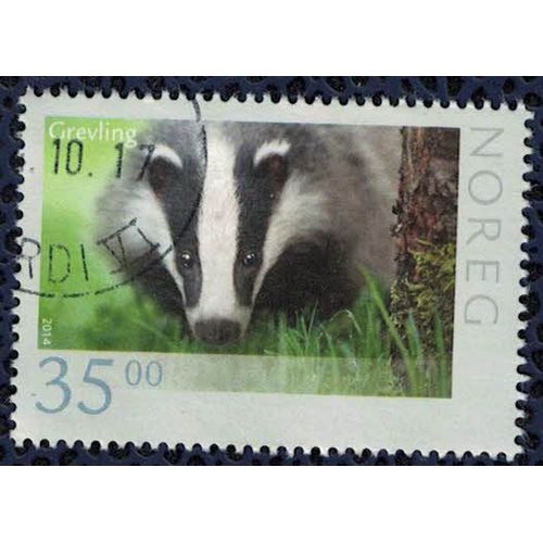 Norvège 2014 Oblitéré Rond Used Animaux Grevling Badger Blaireau Su