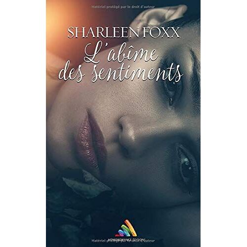 L'abîme Des Sentiments: Romance Lesbienne
