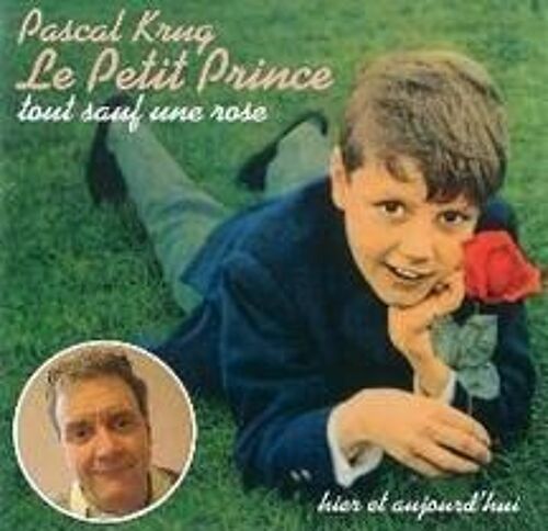 Le Petit Prince Tout Sauf Une Rose