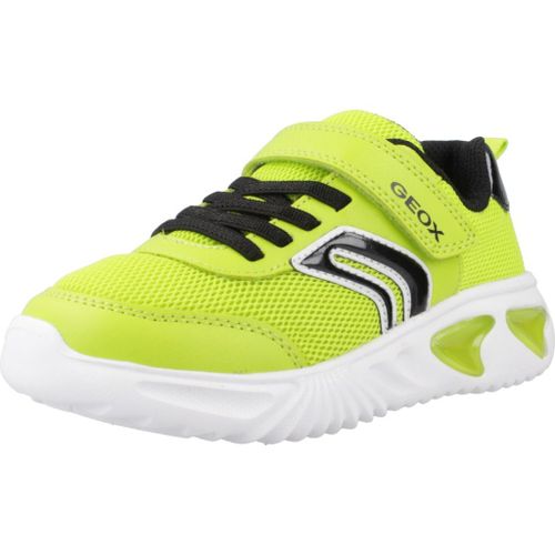 Chaussures Geox J Assister Boy Colour Vert