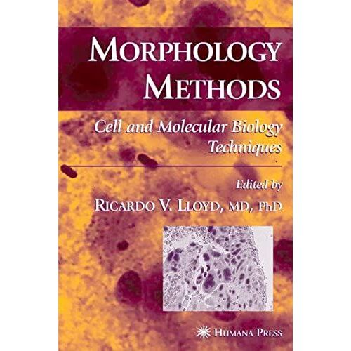 Morphology Methods