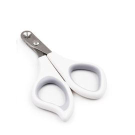 Coupe-Ongles Résistant Au Sang Pour Animaux De Compagnie, Ciseaux, Griffes De Toilettage, Aiguiseur De Griffes De Chat, Fournitures Pour Mains, Produits Pour La Maison Et Le Jardin