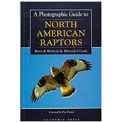 A Photographic Guide To North American Raptors