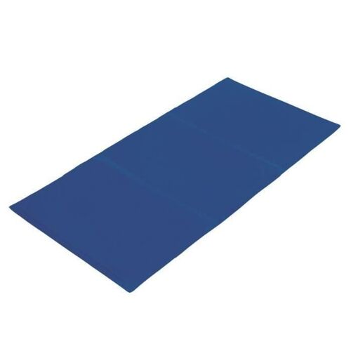 Vadigran Tapis Rafraichissant - 90x50cm - Pour Chien