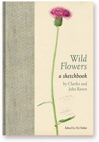 Wild Flowers