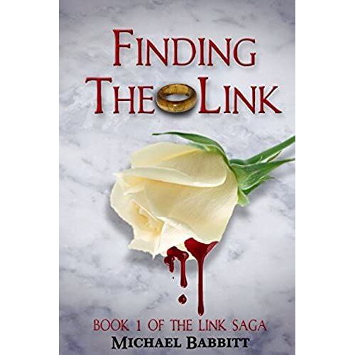 Finding The Link: Book 1 Of The Link Saga