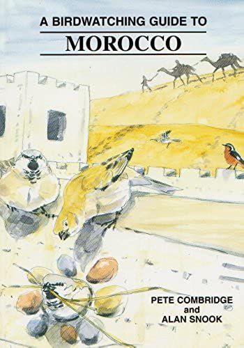 Bird Watching Guide To Morocco