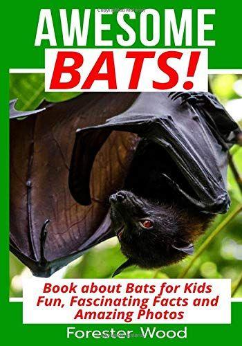 Book About Bats For Kids: Bat Facts Book (Wild Nature Series)