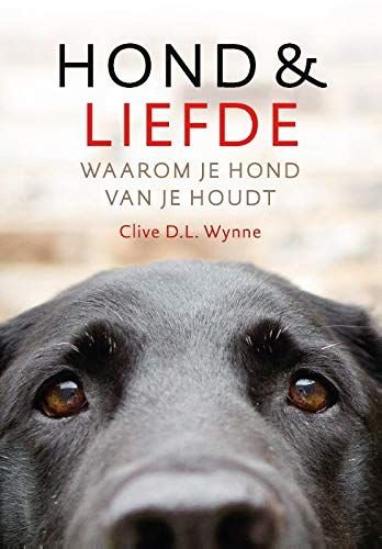 Hond & Liefde: Waarom Je Hond Van Je Houdt