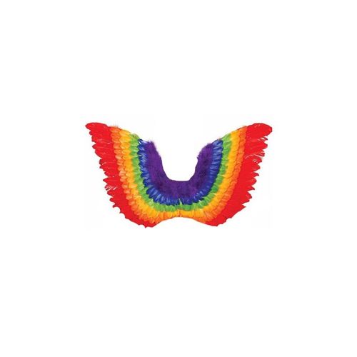 Ailes Multicolores Adulte (80cm)