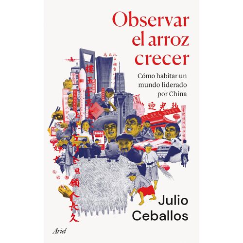 Observar El Arroz Crecer