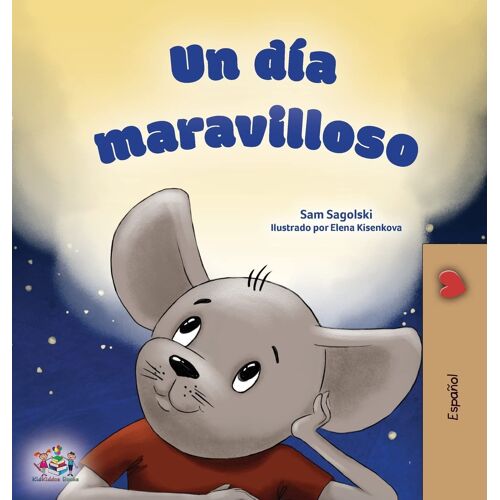 A Wonderful Day (Spanish Children's Book)