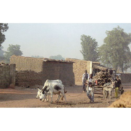 Carte Postale Xx Eme Secle-  Mandla - Association Pour Les Enfants Du Mali- Carte Non Ecrite - Photom.P.M