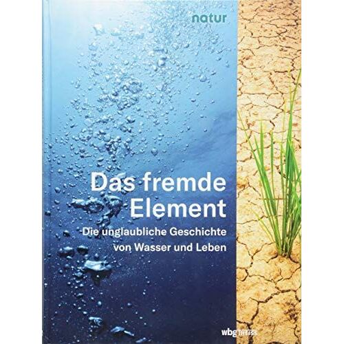 Das Fremde Element