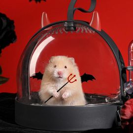 Mallette De Transport Portable Pour Hamster, Cages De Voyage Et D'extérieur, Petit, Transparent, Overd'inde Electrolux