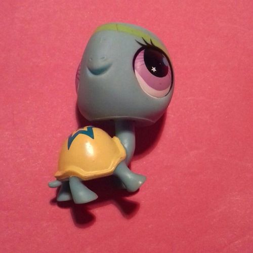 Petshop 2853 Tortue
