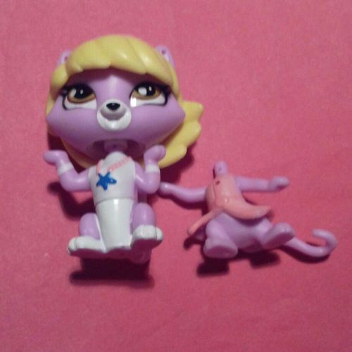 Petshop 3684 Chat Delilah Barnsley 