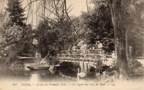 Carte Postale Ancienne - 217 - Tours - Jardin Des Prébendes D'oé - Les Cygnes Du Pont Du Haut