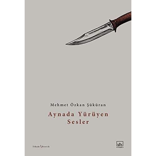 Aynada Yürüyen Sesler