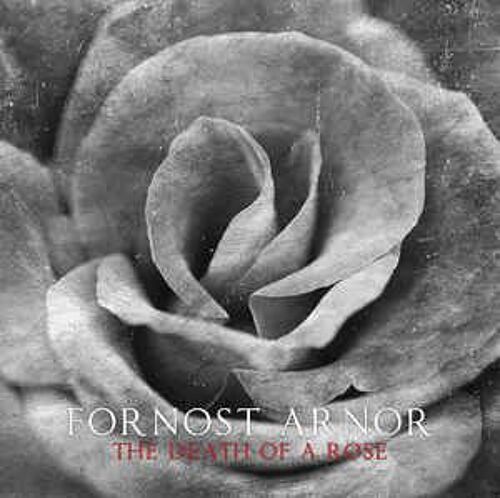 Death Of A Rose