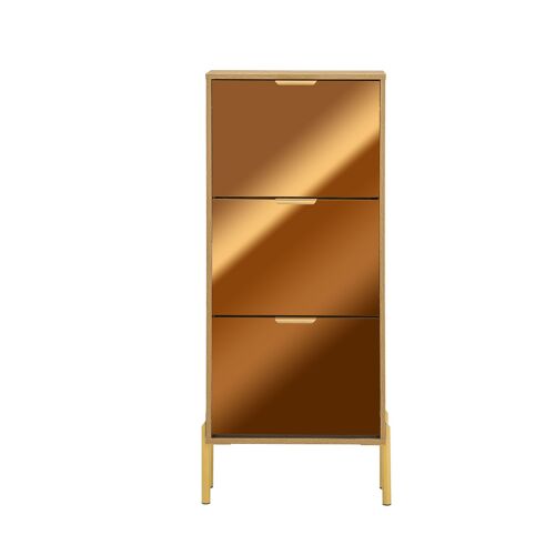 SoBuy Meuble à Chaussures Rangement Chaussure Miroir - Meuble Chaussures Entrée Peu Profond avec 2 Abattants pour Entrée Étroite ou Studio - Design Moderne Doré 55x24x124cm FSR181-H-G