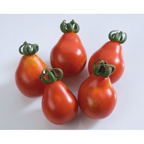 50 Graines De Tomate Cerise Poire Rouge Méthode Bio Seeds Plantes Légumes Ancien